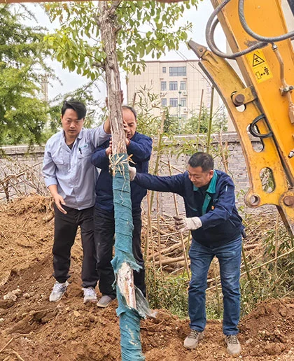 CHG Bearing: Green Together, Grow Forever